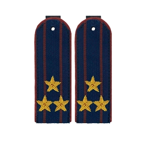 Погоны ФСИН (ФСИН)