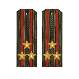 Вооруженные силы ВС РФ (Погоны)